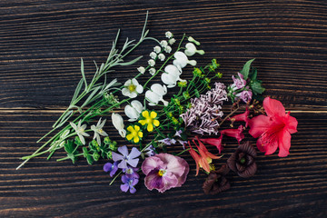 Group of wildflower variety