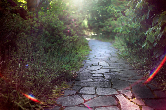 Slate paved pathway through a pretty garden bathed in evening light