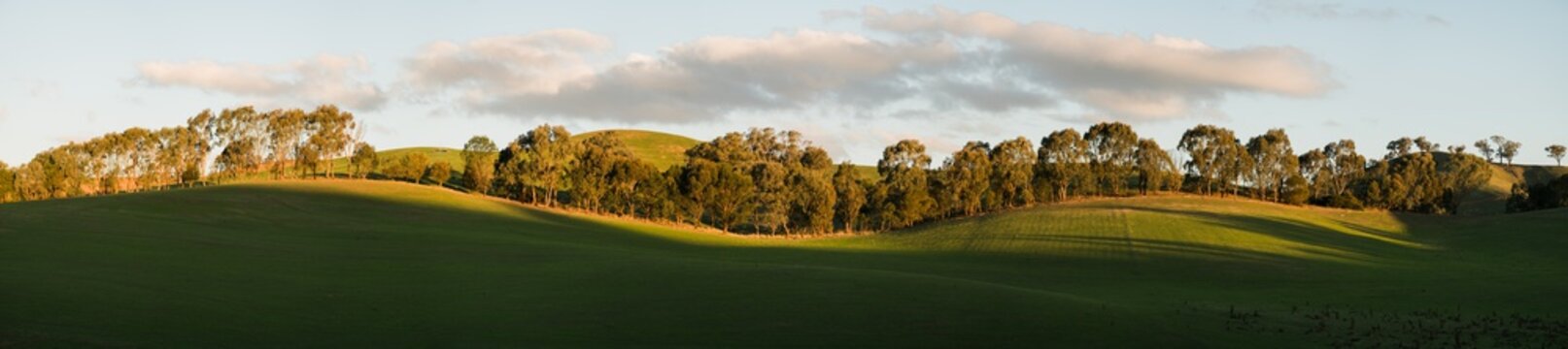 Undulating Hills near Yea, Australia