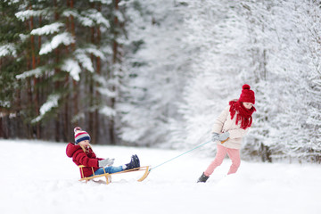 Two funny little girls having fun with a sleight in beautiful winter park. Cute children playing in a snow.