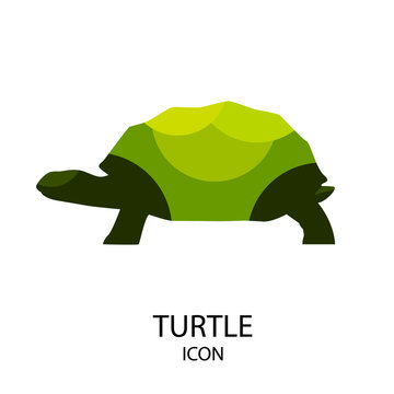 Turtle vector icon on white background. Flat design.