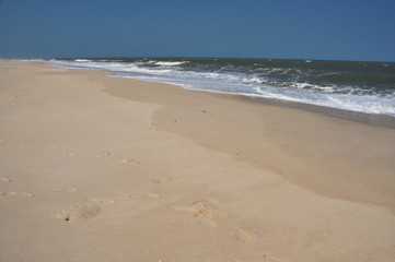 The ocean coast. Mozambique