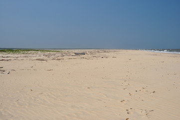 The ocean coast. Mozambique