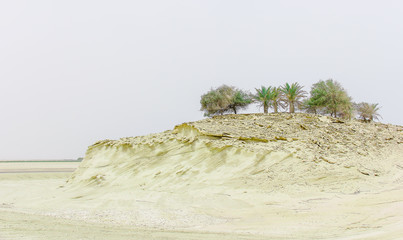 plateau topped with palm trees