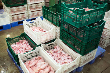 chicken meat in a meat processing plant.