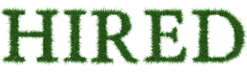 Hired - 3D rendering fresh Grass letters isolated on whhite background.