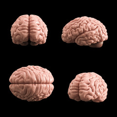 Artificial human brain model, 3d rendering, black background