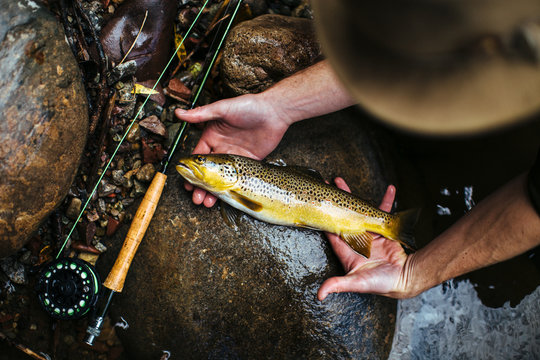 Adult male in cowboy hat with fishing rod displays his trout