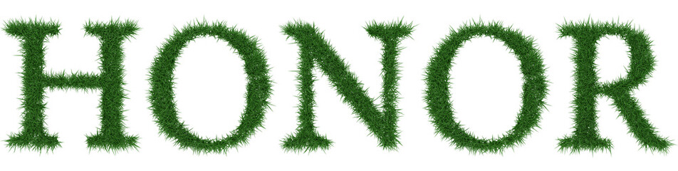 Honor - 3D rendering fresh Grass letters isolated on whhite background.