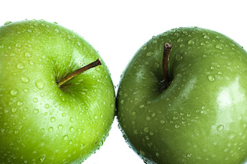 Apples
