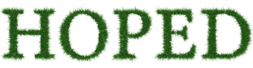 Hoped - 3D rendering fresh Grass letters isolated on whhite background.