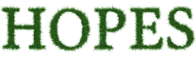 Hopes - 3D rendering fresh Grass letters isolated on whhite background.