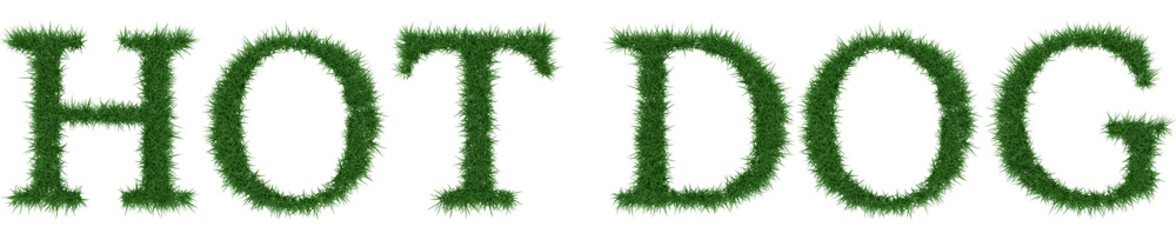 Hot Dog - 3D rendering fresh Grass letters isolated on whhite background.