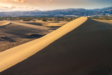 Maspalomas sand dunes at sunset in Gran Canaria, Canary islands, Spain