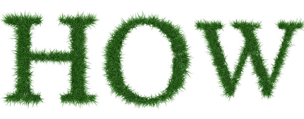 How - 3D rendering fresh Grass letters isolated on whhite background.