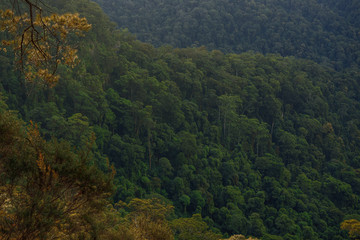 Mountain view from the Gold Coast Hinterlands