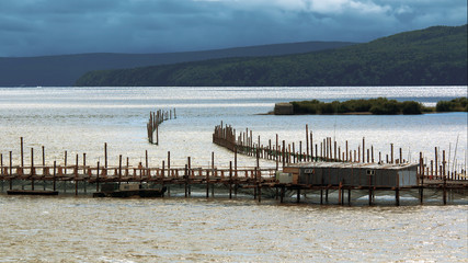fishing nets for salmon fishing