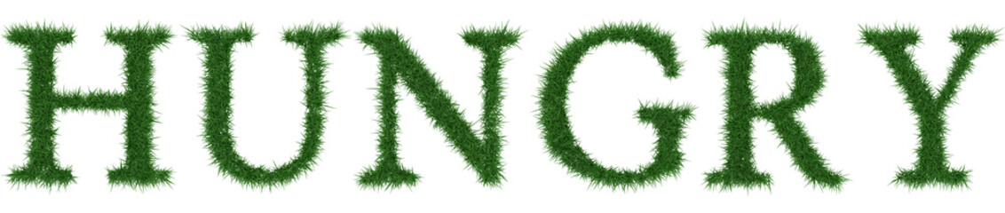 Hungry - 3D rendering fresh Grass letters isolated on whhite background.