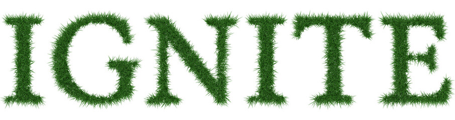 Ignite - 3D rendering fresh Grass letters isolated on whhite background.