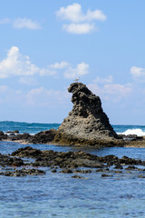 ゴジラ岩　能登　カモメ

