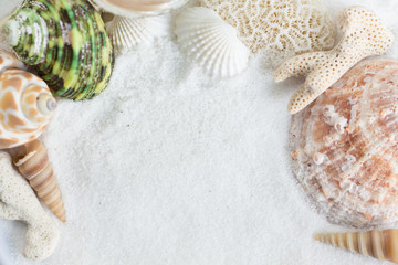 White sand and shell using as background travel, business or nature concept.