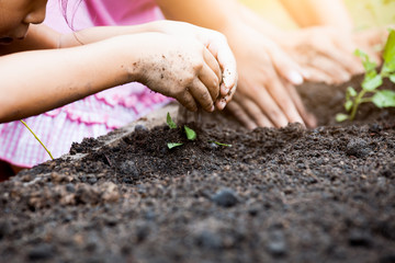 Little child girl hand prepare soil for planting with her friend and parent