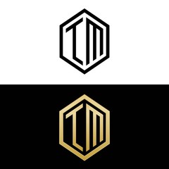 initial letters logo tm black and gold monogram hexagon shape vector