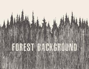 Obraz premium Pine forest vector illustration hand drawn, sketch