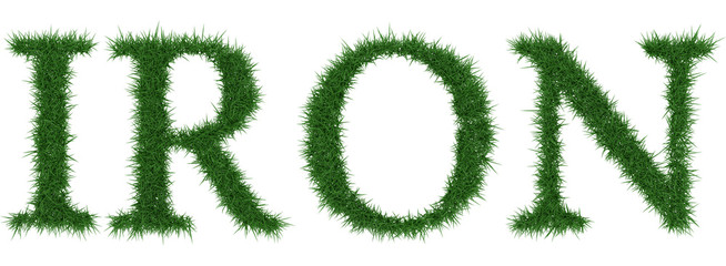 Iron - 3D rendering fresh Grass letters isolated on whhite background.