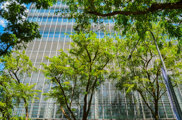 Fototapeta na wymiar Modern architecture and vertical gardens of Singapore