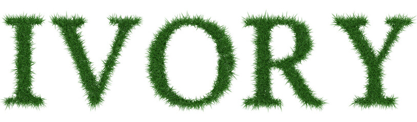 Ivory - 3D rendering fresh Grass letters isolated on whhite background.