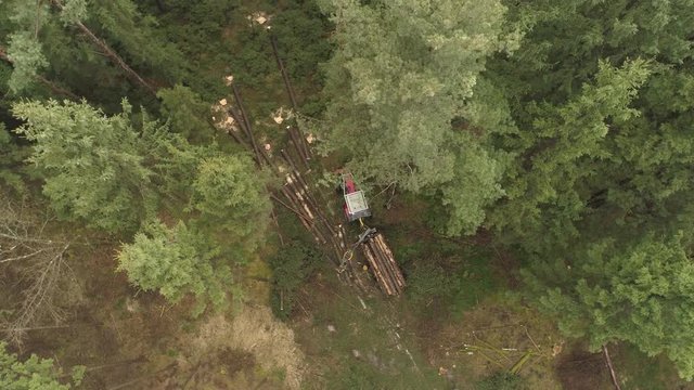 AERIAL DISTANCING Flying above logging truck lifting pile of delimbed cut tree trunks on the stacked tractor on forest clearing. Forwarder loading harvest for the transportation from stumps to sawmill