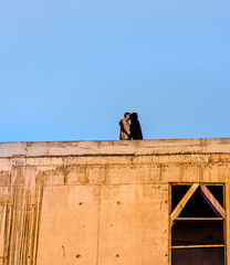 beautiful and young couple kiss each other on terrace