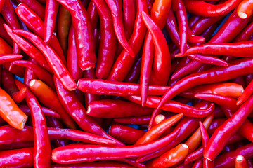 Chili peppers background. Close up pepper