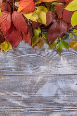 Leaves on wooden boards