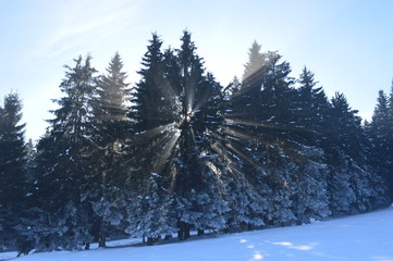 Winter