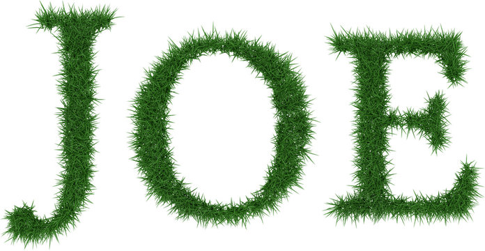 Joe - 3D Rendering Fresh Grass Letters Isolated On Whhite Background.