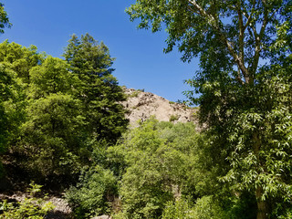 Fototapeta na wymiar Mil Creek Canyon Utah