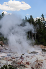 Norris Geyser Basin