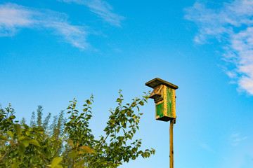 Nesting box on blue sky background