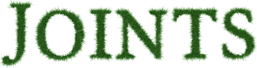 Joints - 3D rendering fresh Grass letters isolated on whhite background.