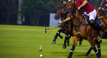 Horse polo running in a night polo