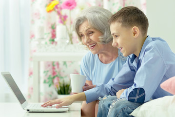 Obraz premium woman with grandson using laptop