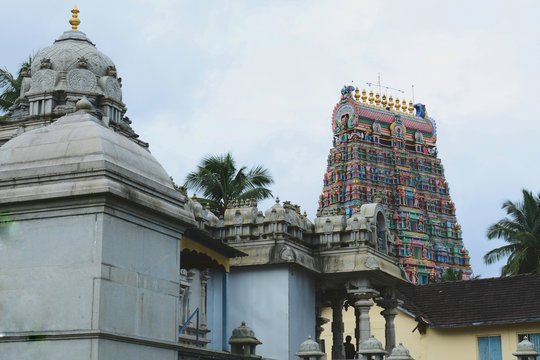 Temple Side View