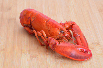 lobster
