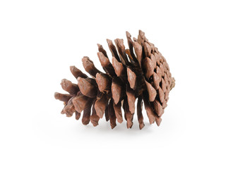 Pine cone isolated on white background (clipping path included) for Christmas decoration, holiday decorative concept