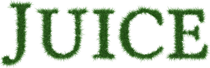 Juice - 3D rendering fresh Grass letters isolated on whhite background.