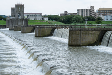 多摩川　二ヶ領河原堰１