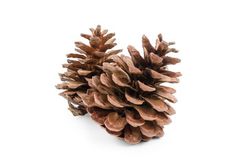 Pine cones isolated on white background (clipping path included) for Christmas decoration, holiday decorative concept