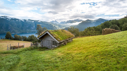 Norwegen - Geiranger Fjord Landschaft